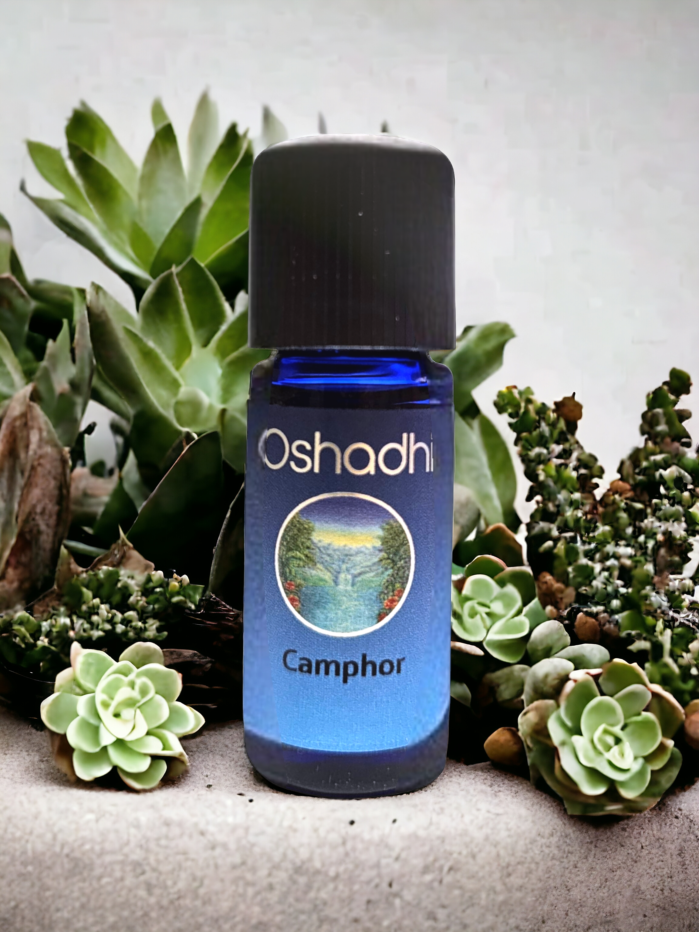 Camphor 10 ml. - Organik Kafur Yağı