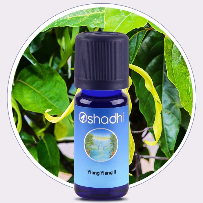 Ylang Ylang II (Organic) 10ML Ylang Ylang II (Organic) 10ML
