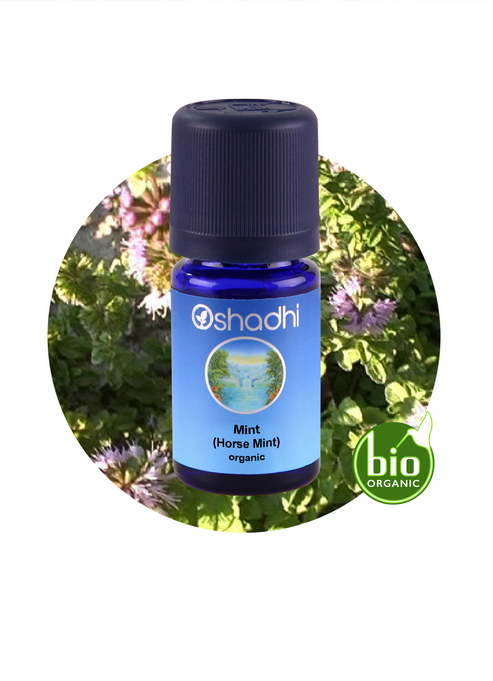 Mint (Horse Mint) 30 ML-Nane Mint (Horse Mint) 30 ML-Nane