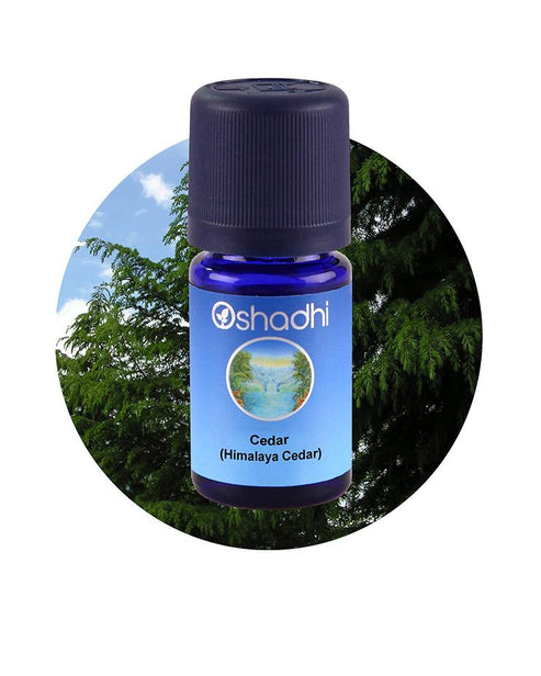 Himalaya Sediri 10ML,Cedrus deodara Himalaya Sediri 10ML,Cedrus deodara