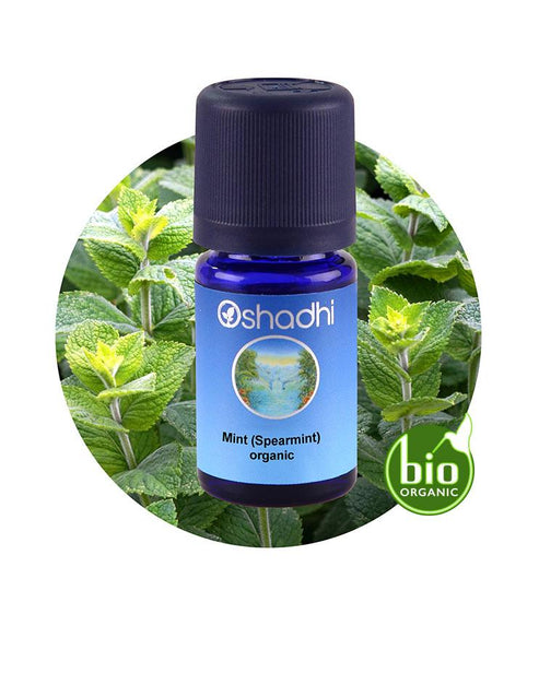 Nane Yağı (Spearmint) 10ML, Mentha spicata Nane Yağı (Spearmint) 10ML, Mentha spicata