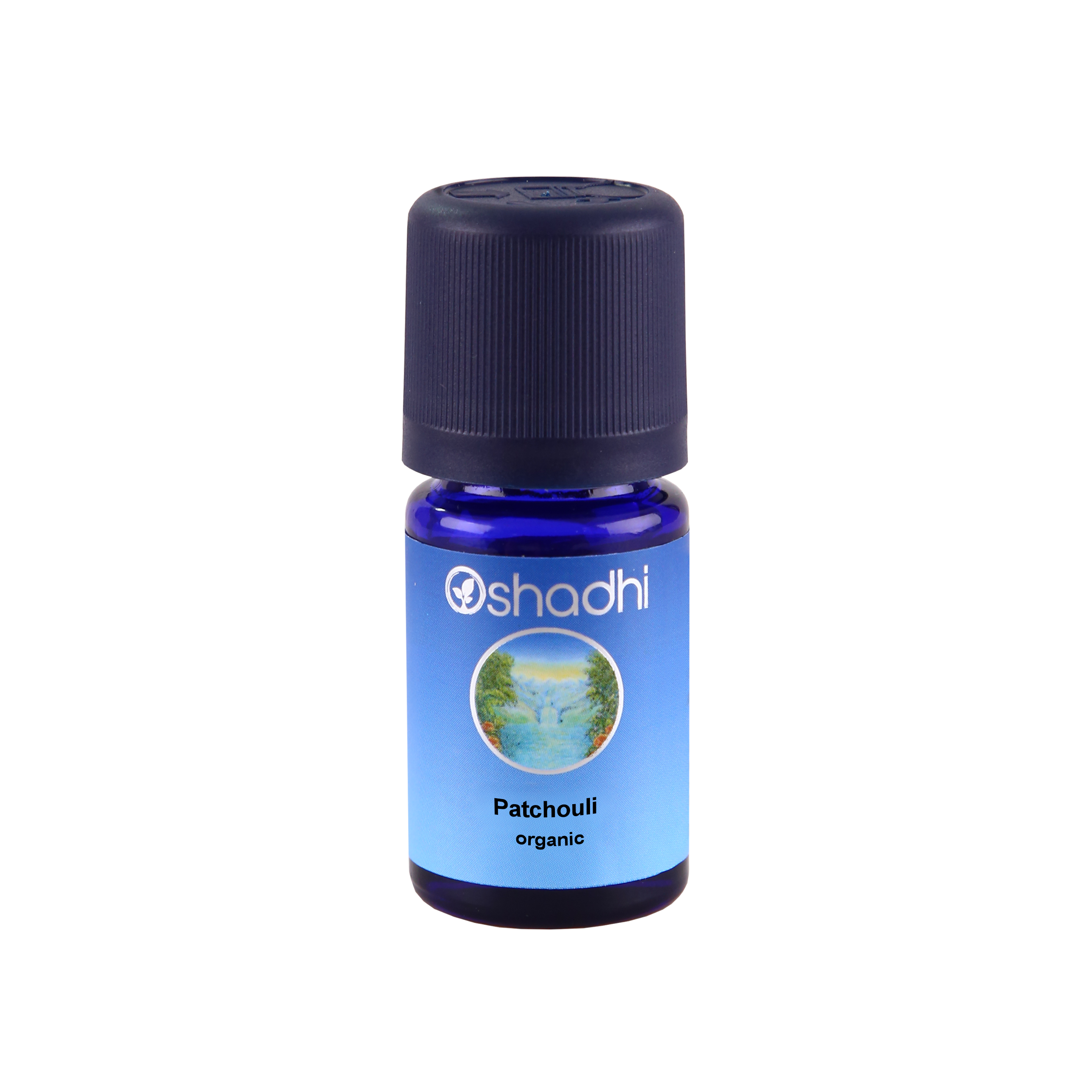 Patchuli 10ML, Pogostemon cablin Patchuli 10ML, Pogostemon cablin