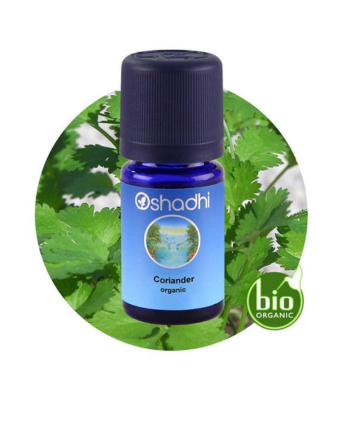 Coriander 10 ML, Kişniş Yağı, Coriandrum sativum Coriander 10 ML, Kişniş Yağı, Coriandrum sativum