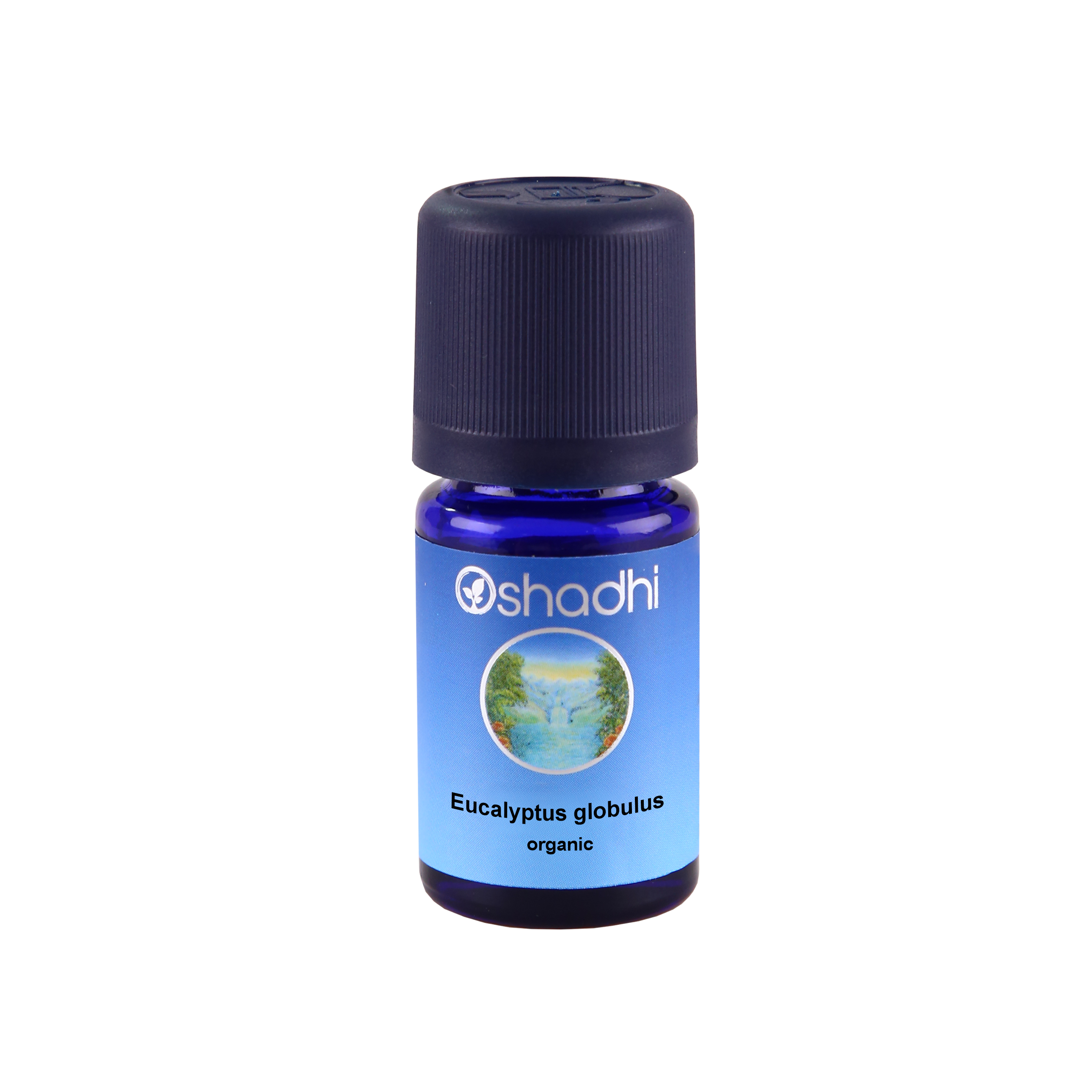 Eucalyptus globulus 10ml, Mavi Okaliptüs Eucalyptus globulus 10ml, Mavi Okaliptüs