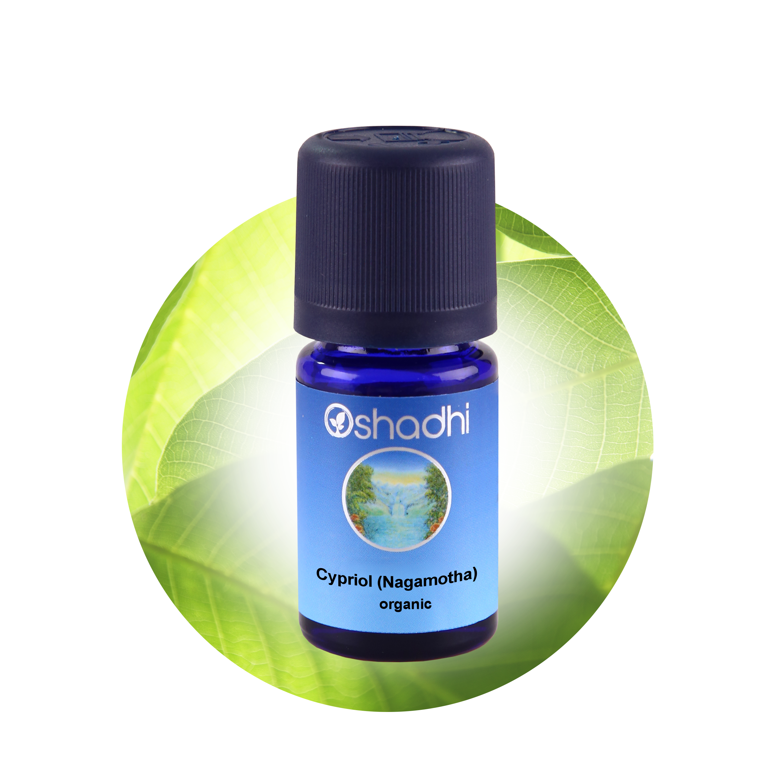 Cypriol Nagarmotha (cyperus scariosus) 5ml, Nagarmotha Cypriol Nagarmotha (cyperus scariosus) 5ml, Nagarmotha